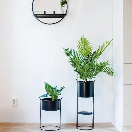 Rainbow Dream Budapest